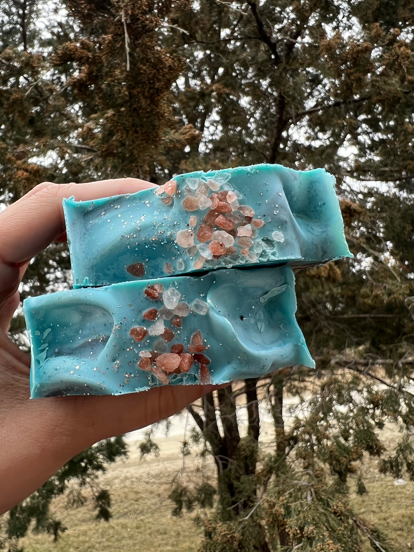 Just Keep Swimming Soap