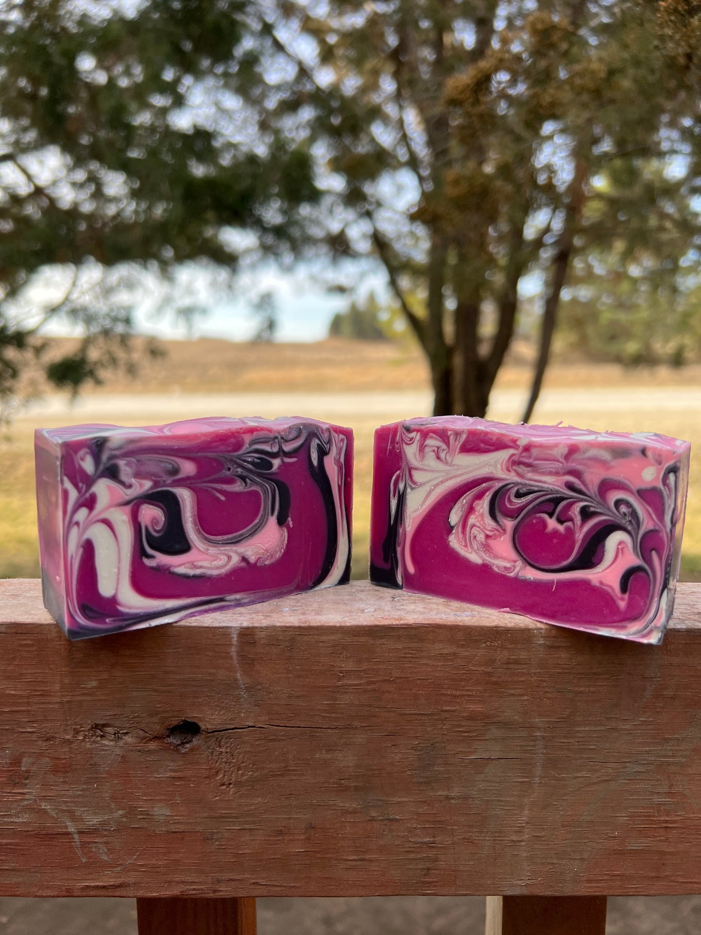 Fruit Stand Soap