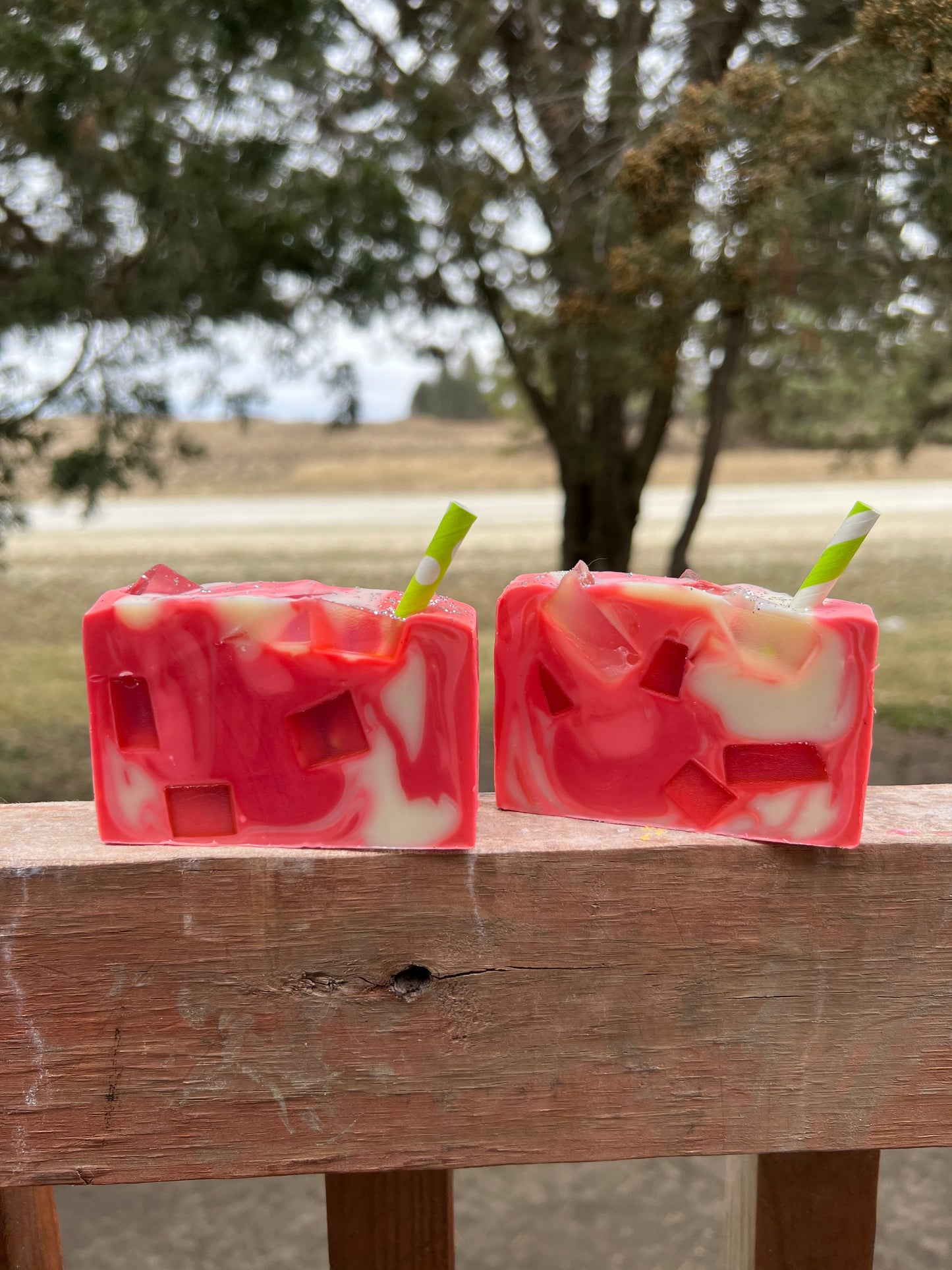 A Sip of Raspberry Mojito Soap