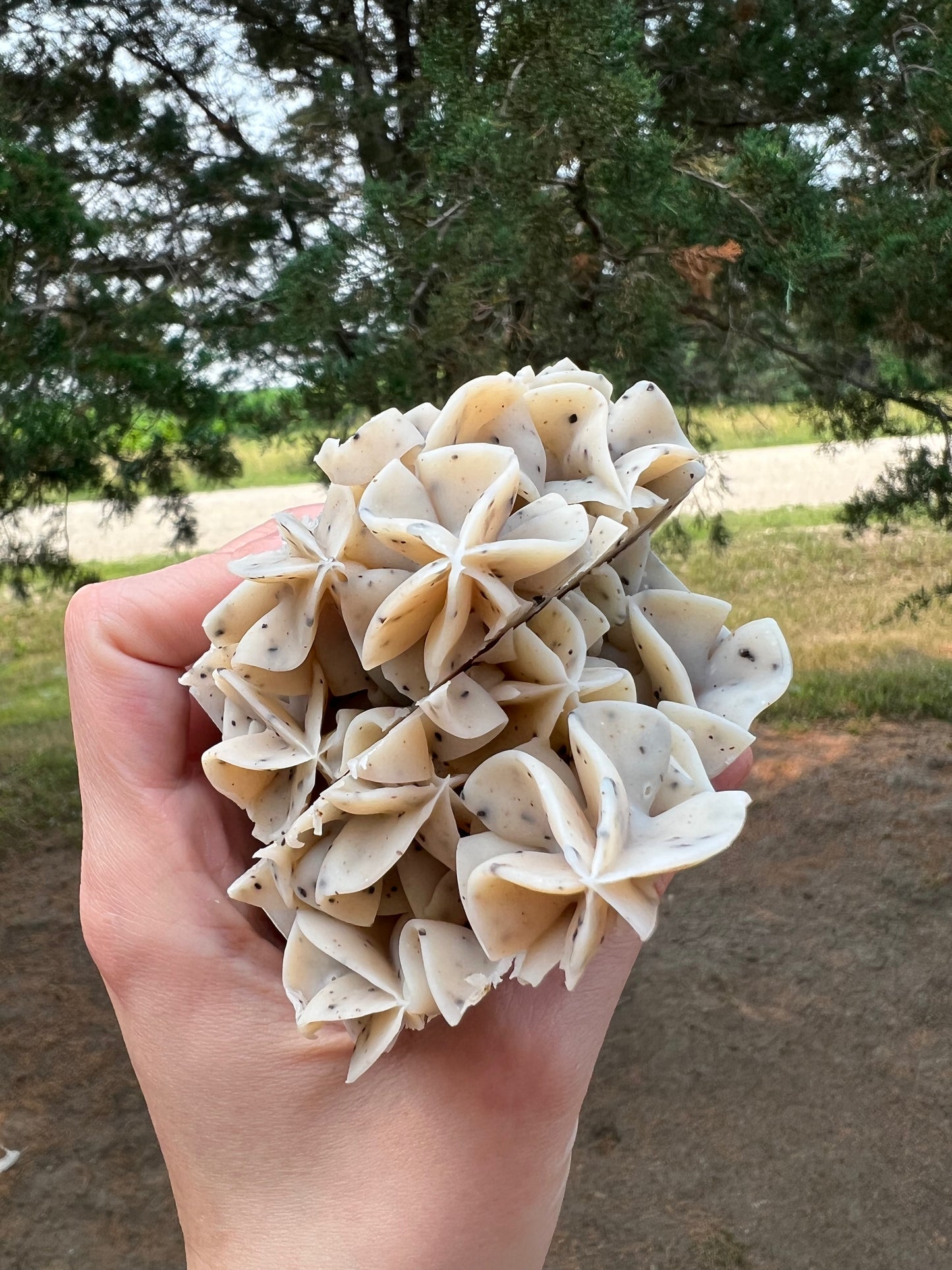 Natural Coffee Scrubby Soap