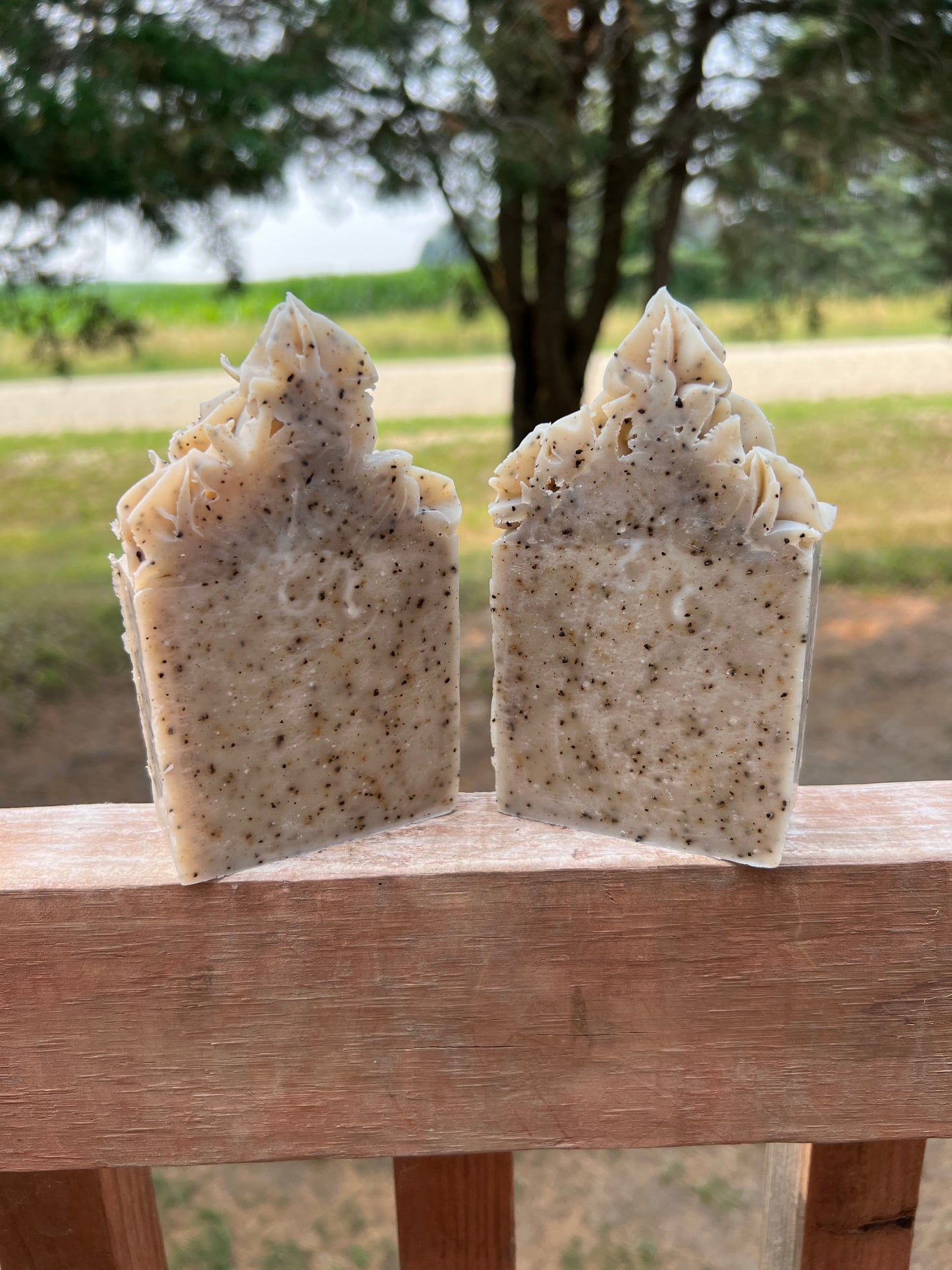 Natural Coffee Scrubby Soap