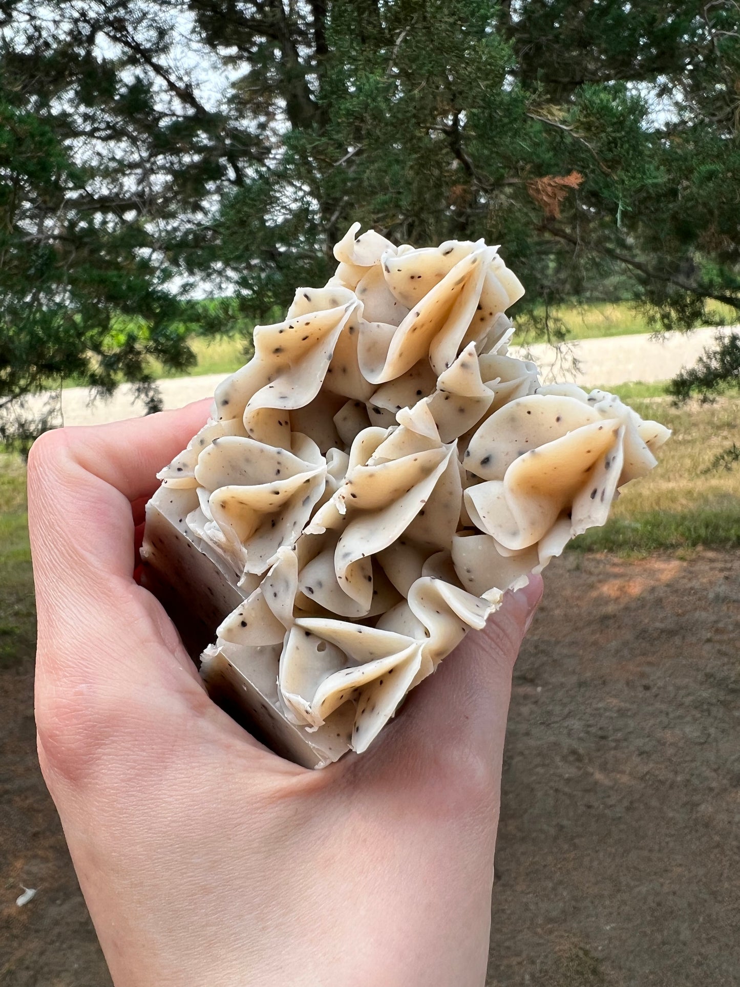 Natural Coffee Scrubby Soap