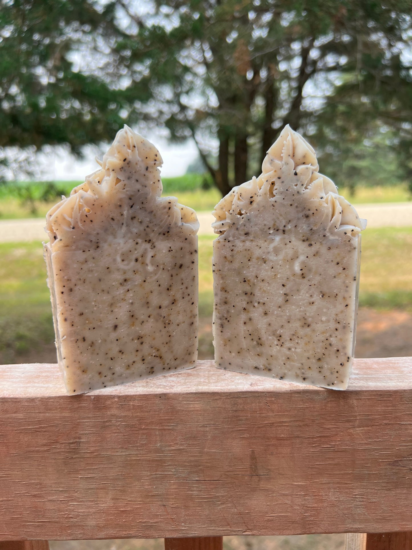 Natural Coffee Scrubby Soap
