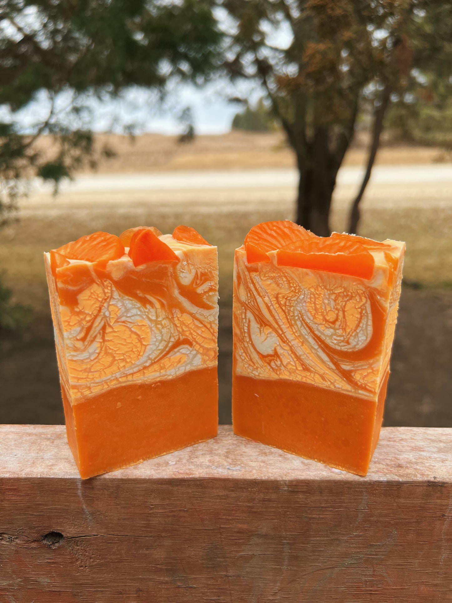 Orange You the Sweetest Soap