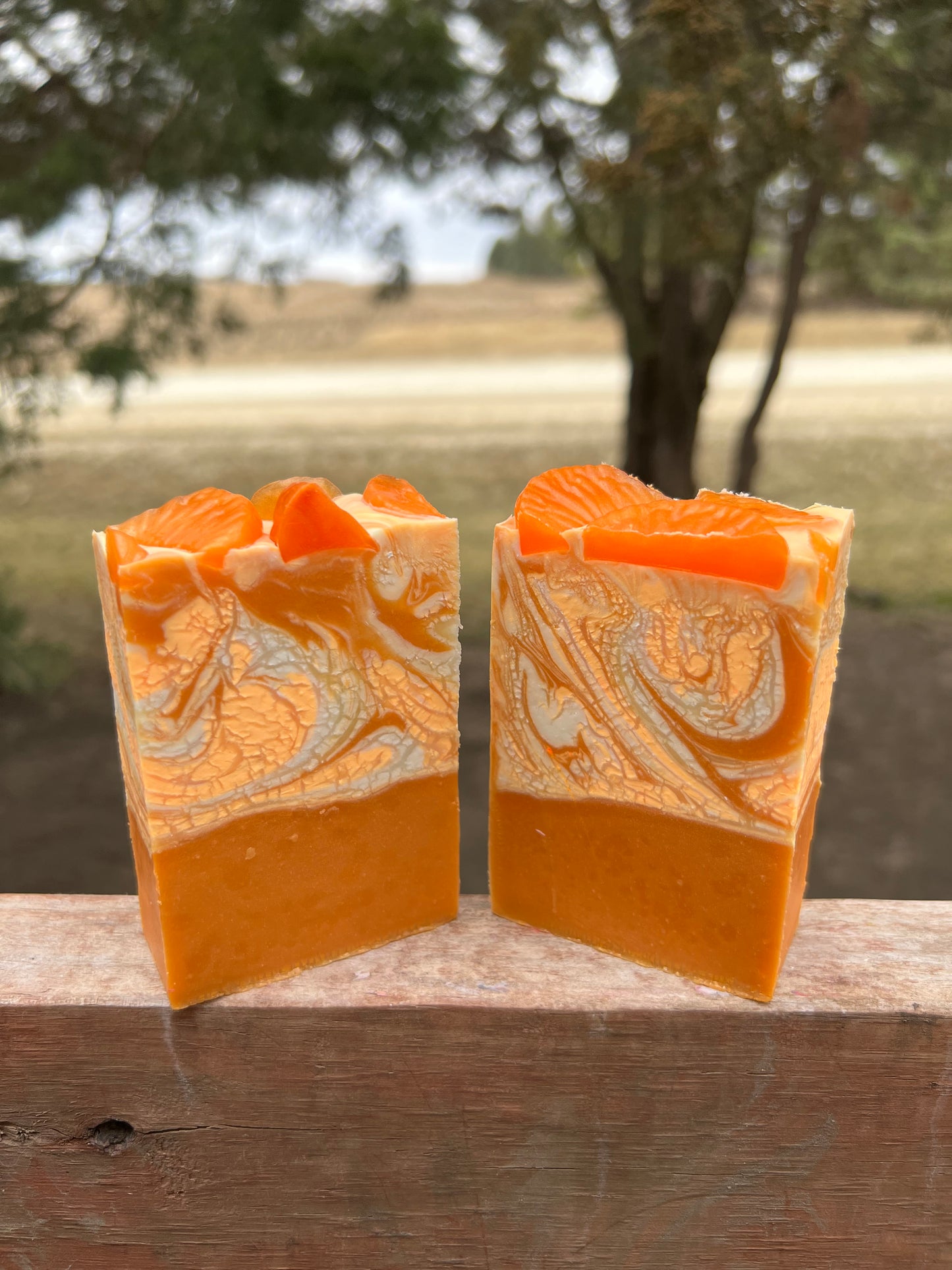 Orange You the Sweetest Soap