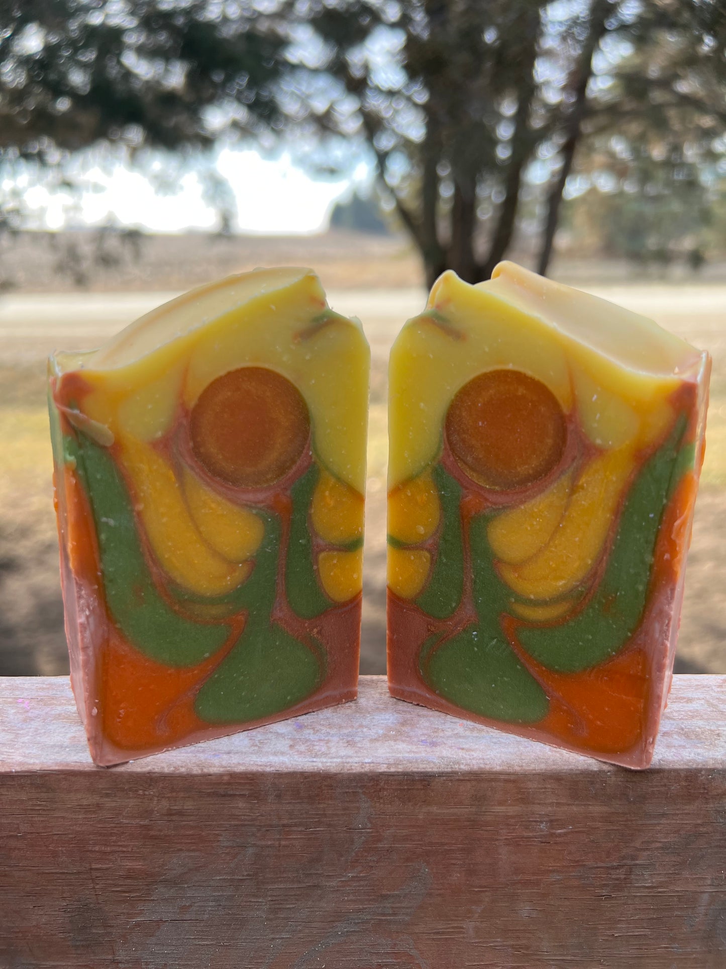 Sedona Suds Soap