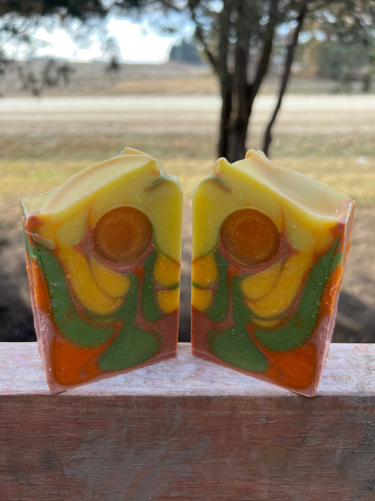 Sedona Suds Soap