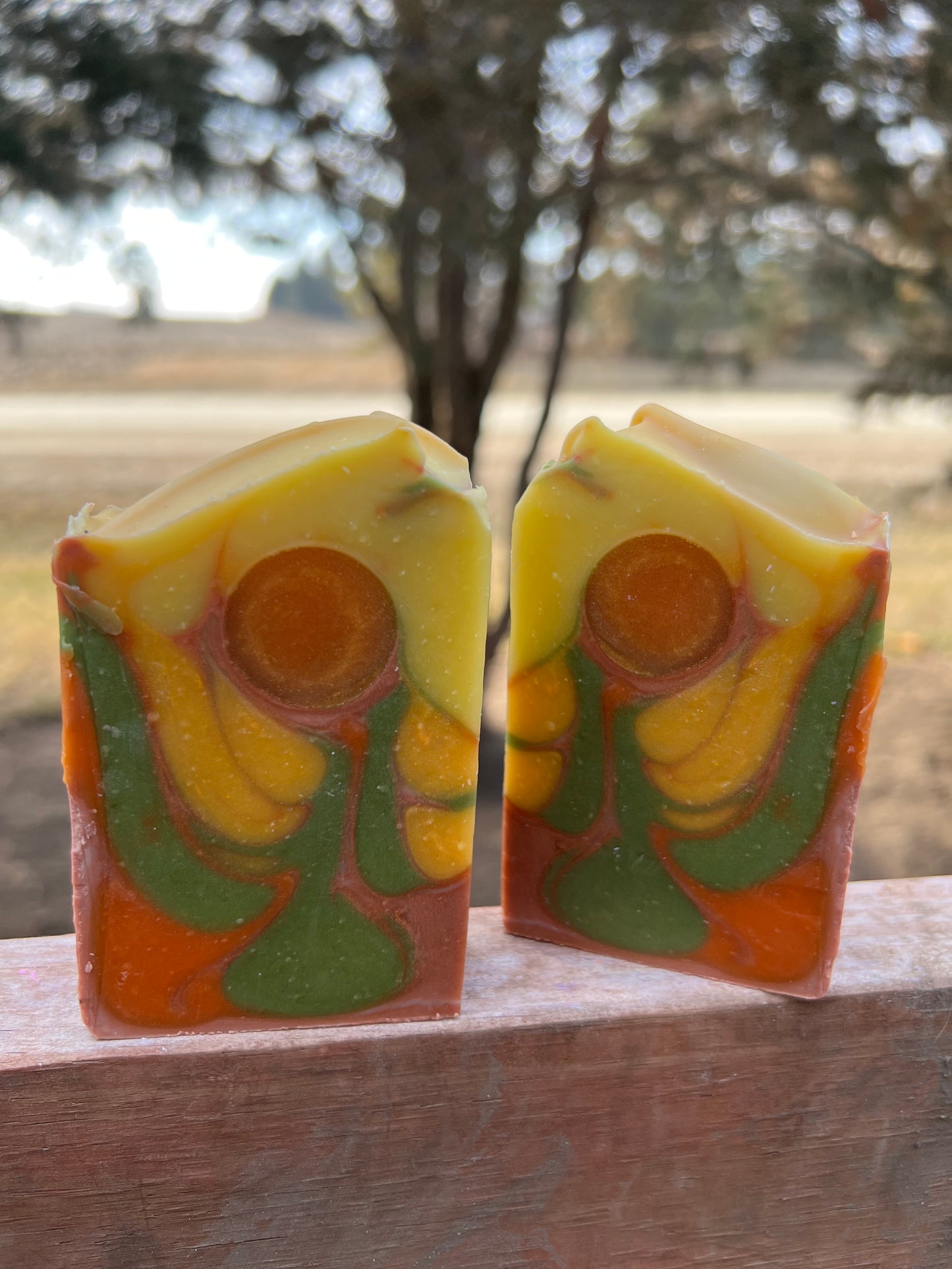 Sedona Suds Soap