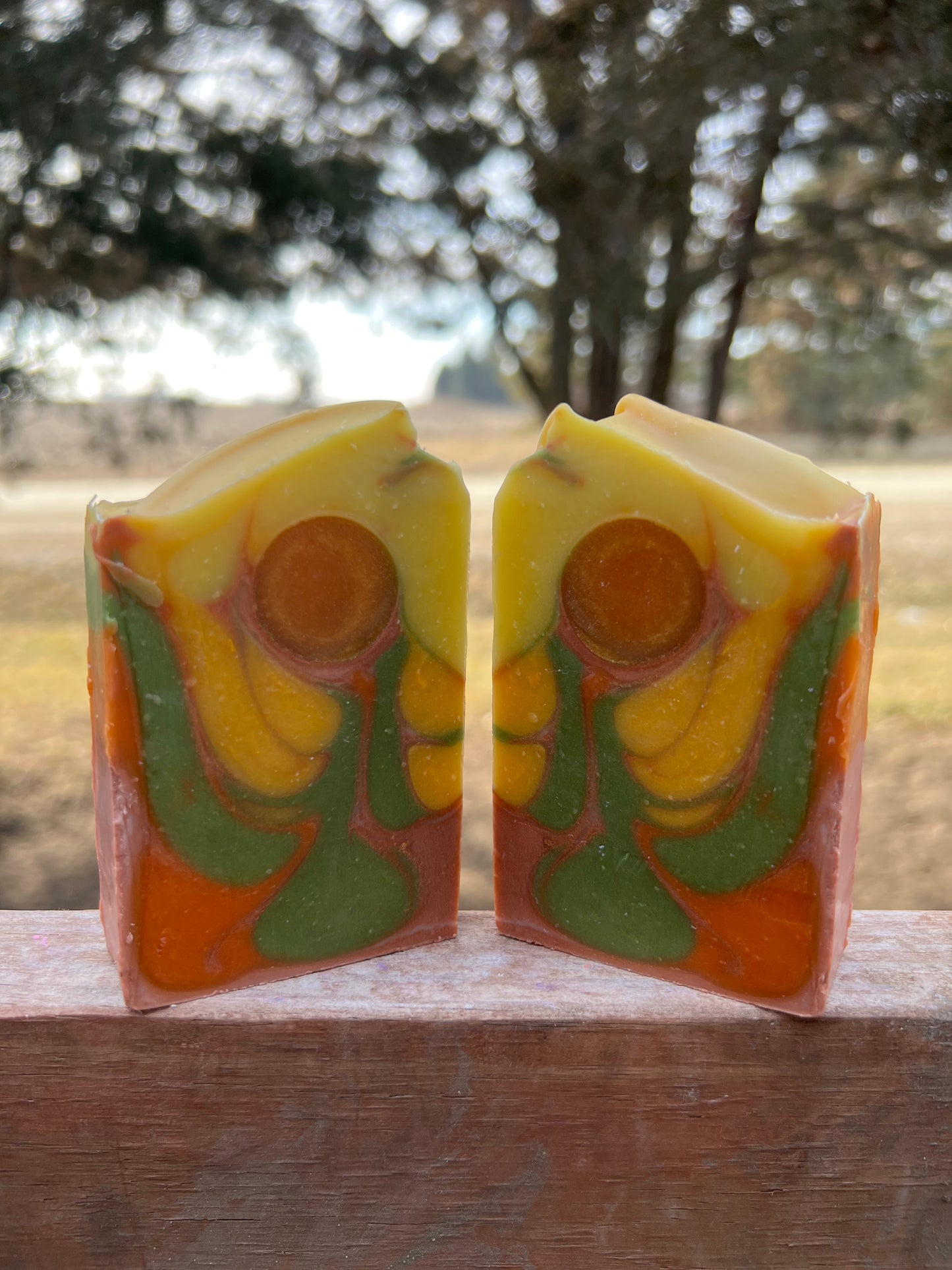 Sedona Suds Soap