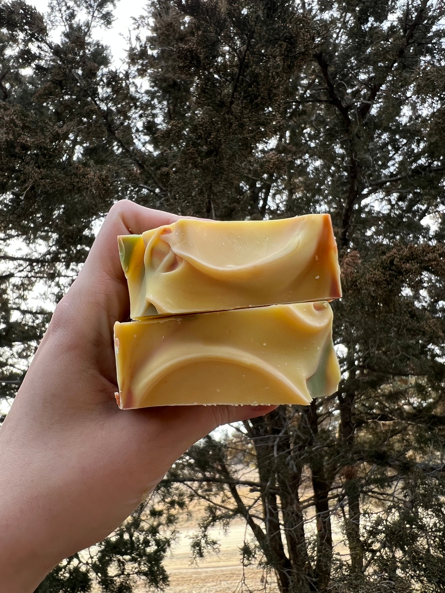 Sedona Suds Soap