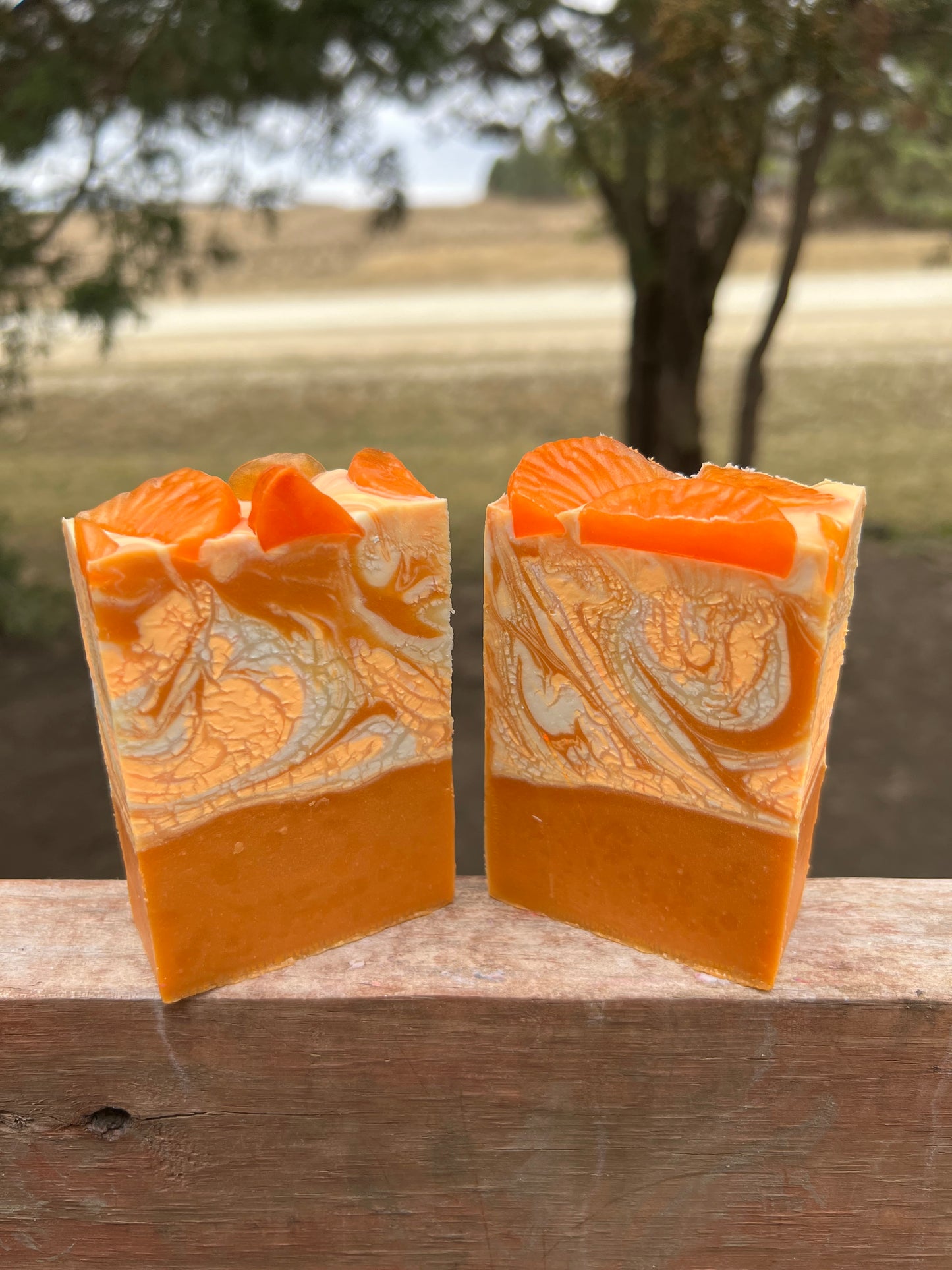 Orange You the Sweetest Soap