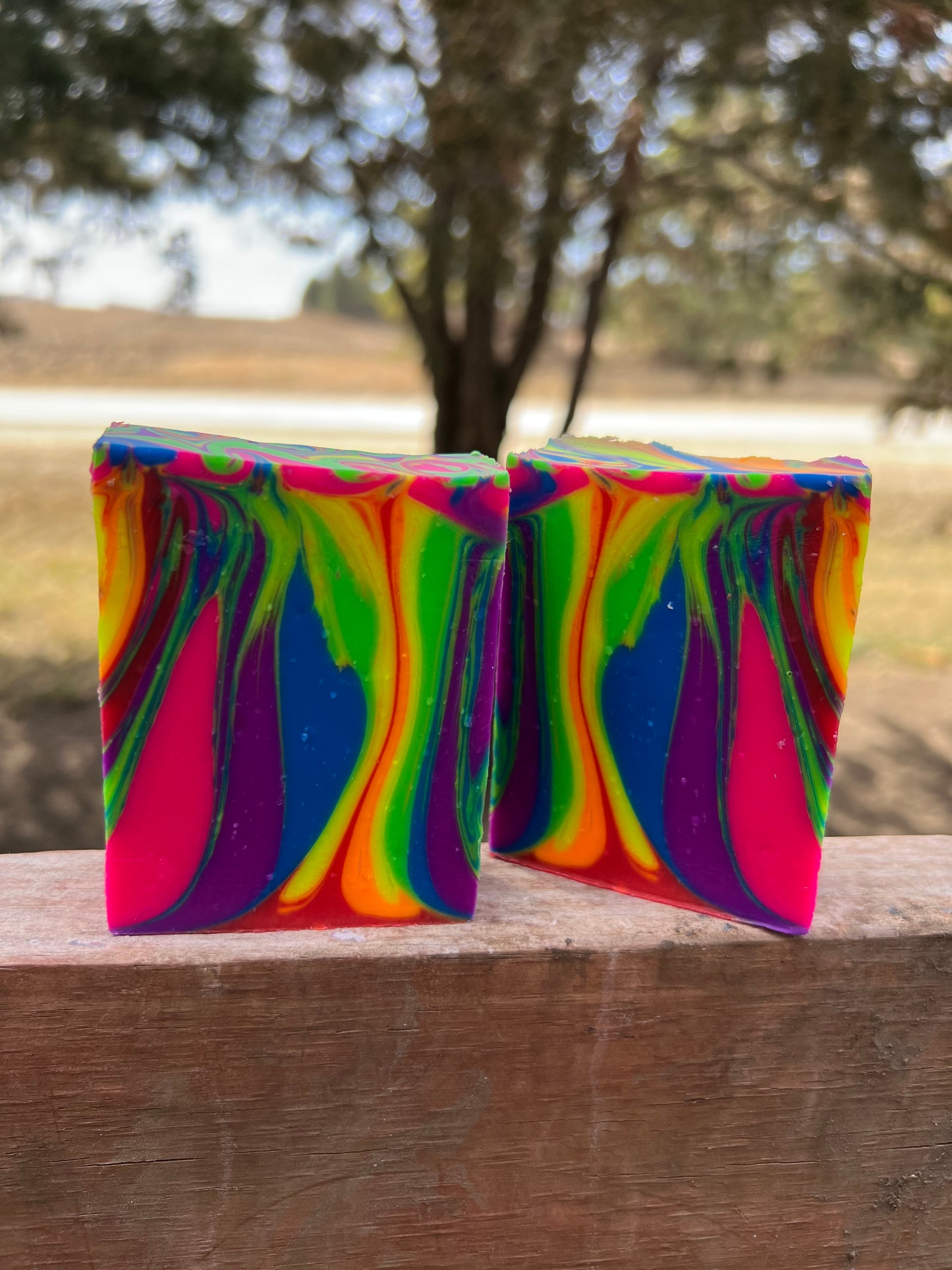 Smell the Rainbow Soap