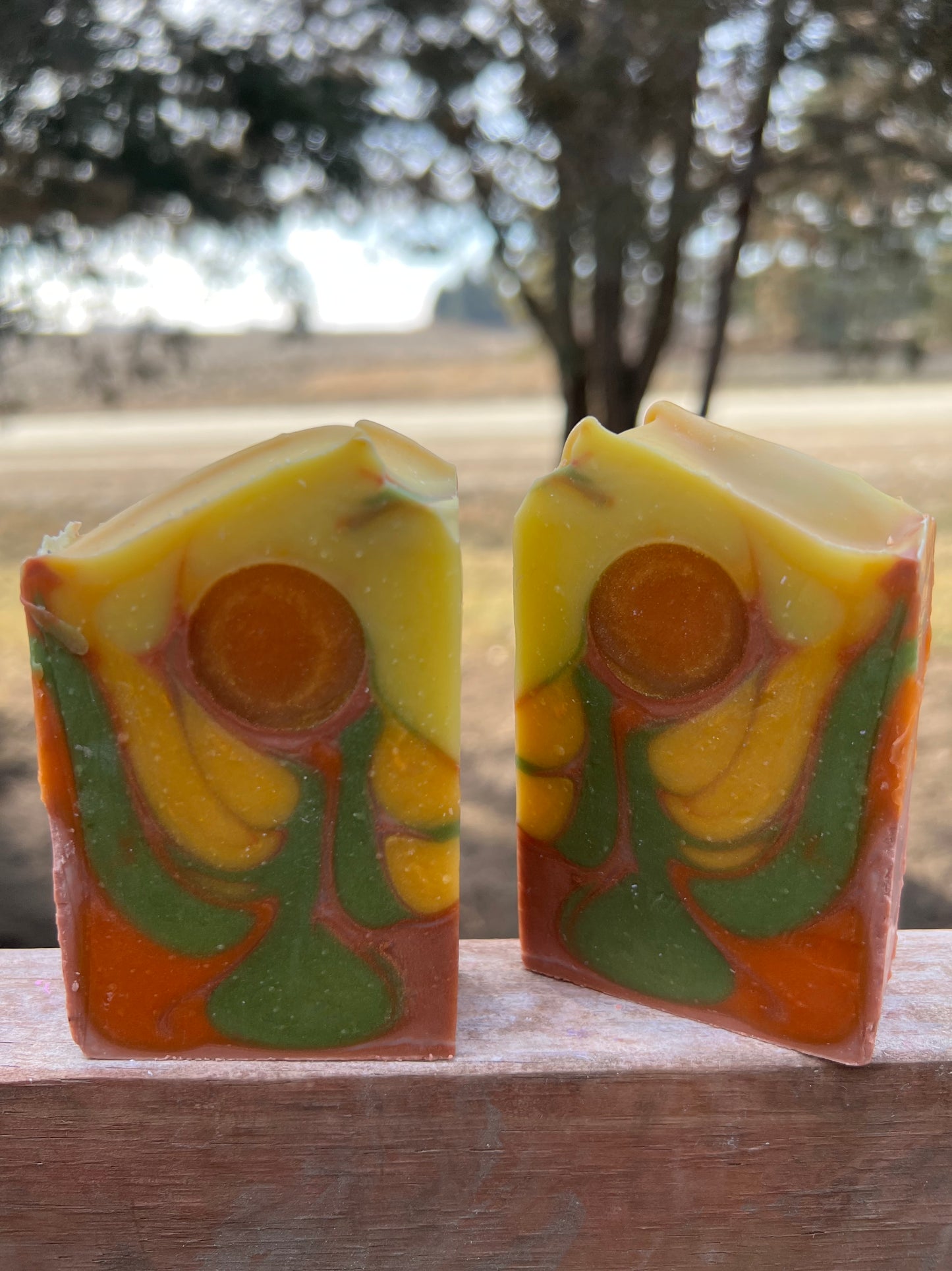 Sedona Suds Soap