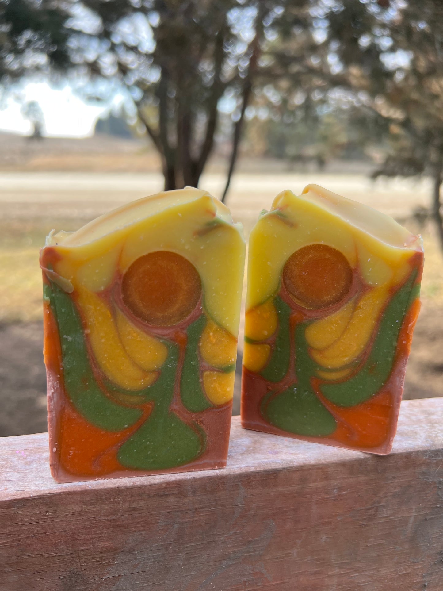 Sedona Suds Soap