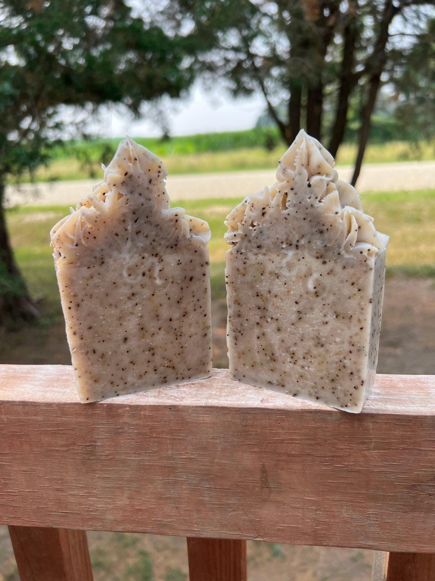 Natural Coffee Scrubby Soap